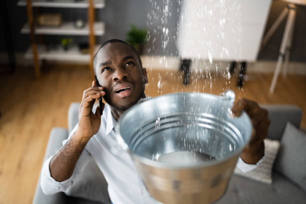 Best Ceiling water damage repair  in Sunnyvale, CA
