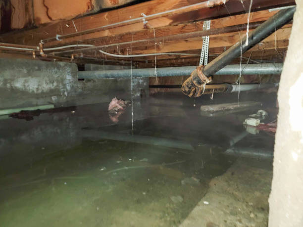 Best Basement water damage restoration  in Sunnyvale, CA
