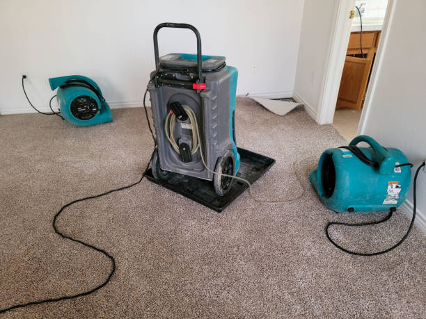 Best Mold removal after water damage  in Sunnyvale, CA