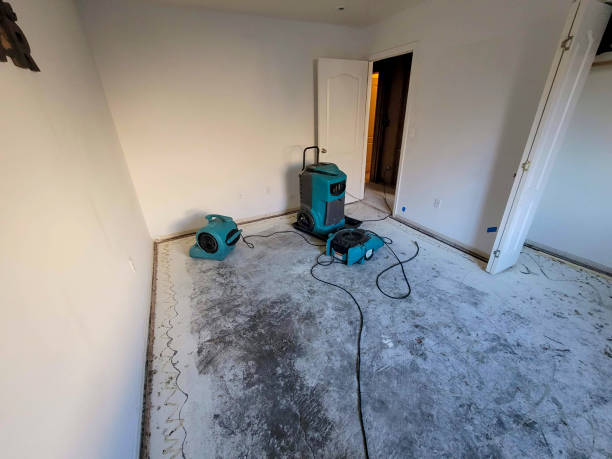 Best Water damage restoration company  in Sunnyvale, CA