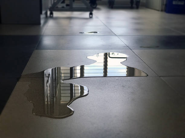 Best Flood damage cleanup  in Sunnyvale, CA