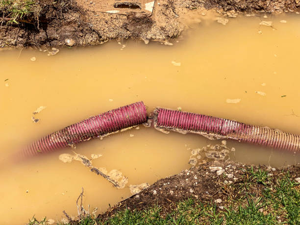 Best 24-hour water damage restoration  in Sunnyvale, CA