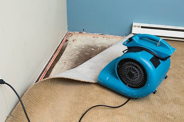 Best Commercial water damage restoration  in Sunnyvale, CA